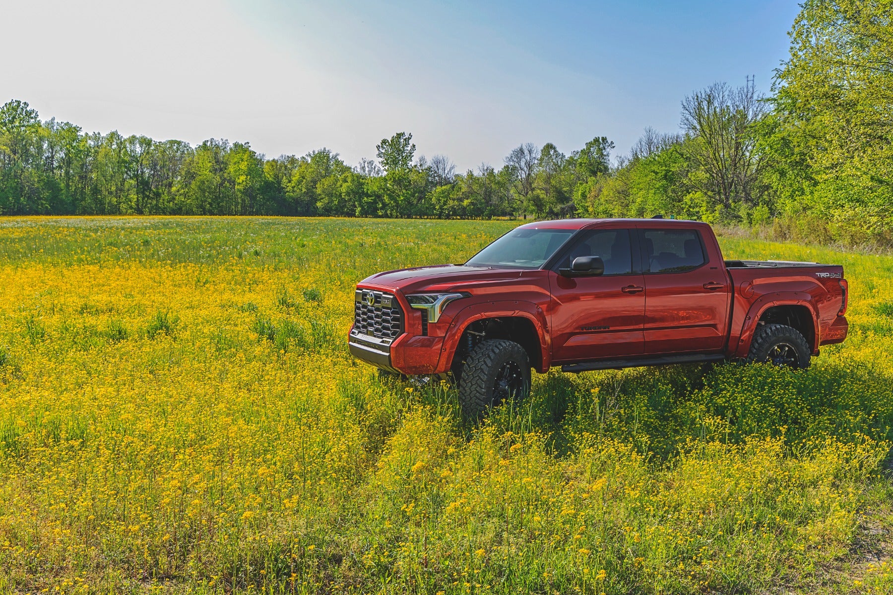 Fender Flares | Defender | Gloss Black | Toyota Tundra 2WD/4WD (2022-2025)
